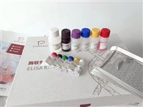 肾上腺素ELISA试剂盒说明书